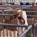 you say somethin' bro?
