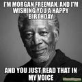Morgan Free Man...