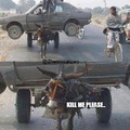 Poor donkey