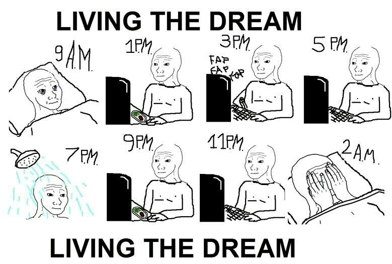 Living the dream - meme