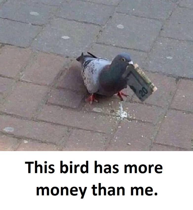 Bird is richer - meme