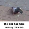 Bird is richer
