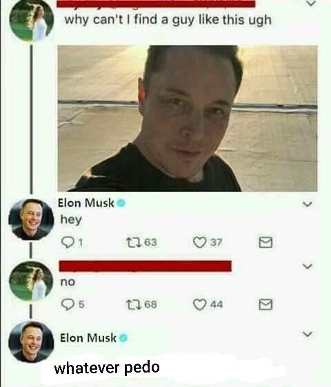 Don't fuck with Elon - meme