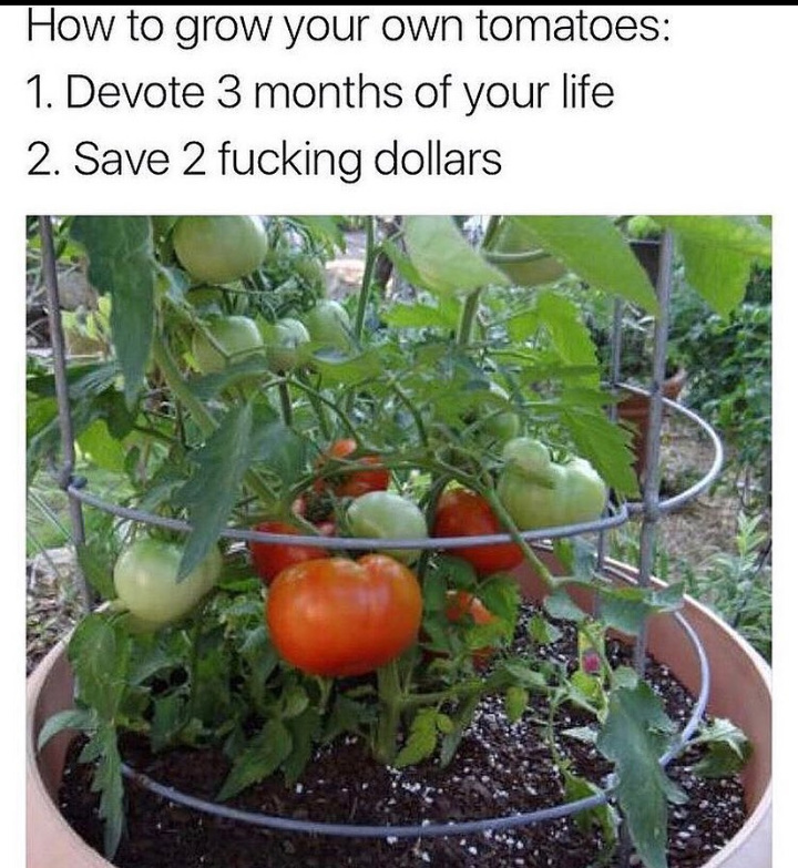 Gardening - meme