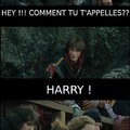 HARRY !