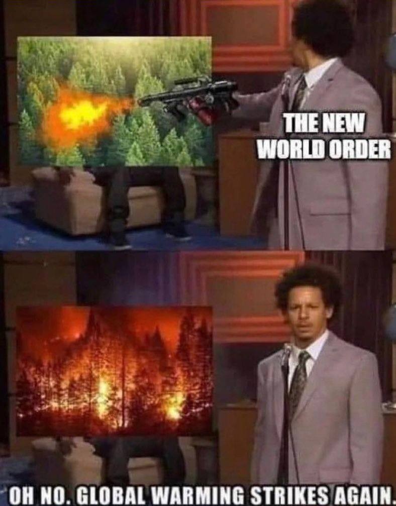 New world order - meme