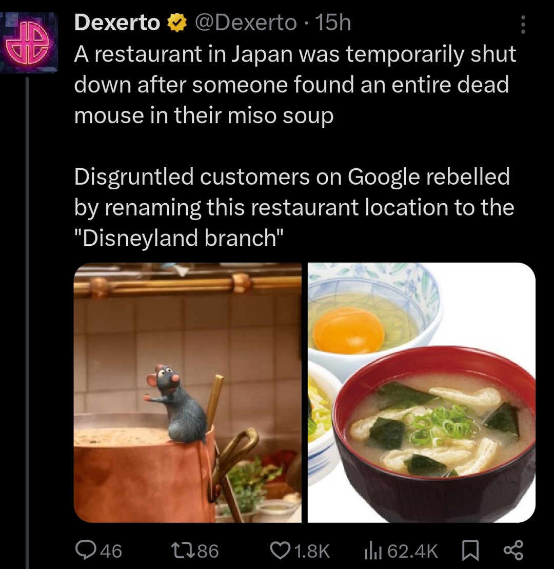 Dead mouse in miso soup. Google renamed the place 'Disneyland branch' - meme