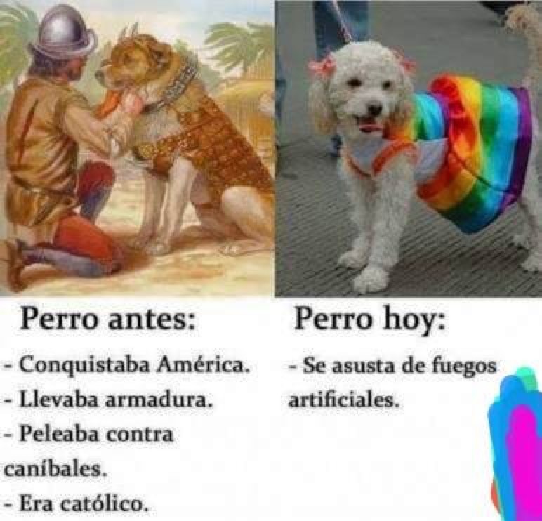 Llorones - meme