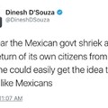 Mexico racist against mexicos