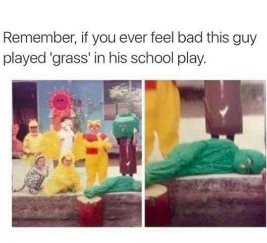 Grass in a play huh - meme