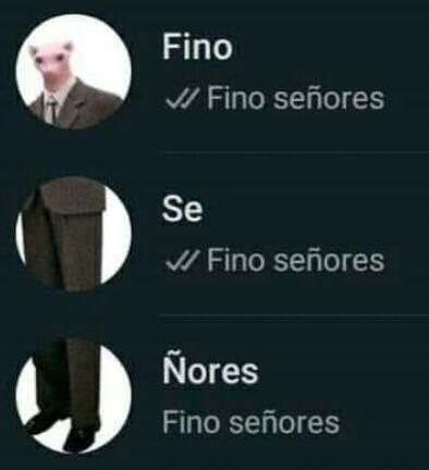 fino señores