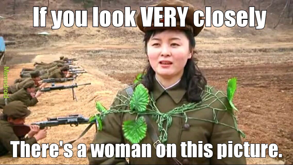Cammo, North Korea style. - meme