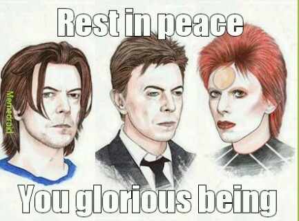 David Bowie - meme