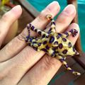 blue ringed octopus on hand...