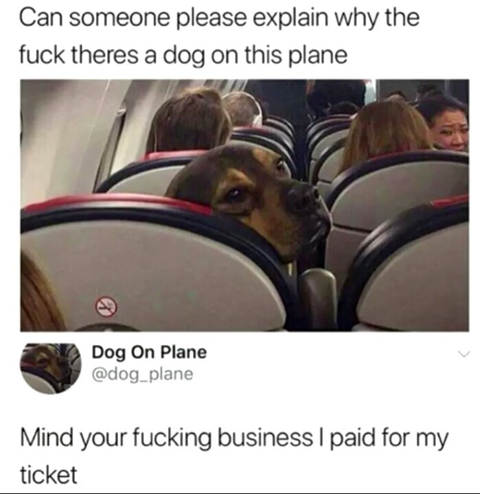 That dog is high was hell - meme