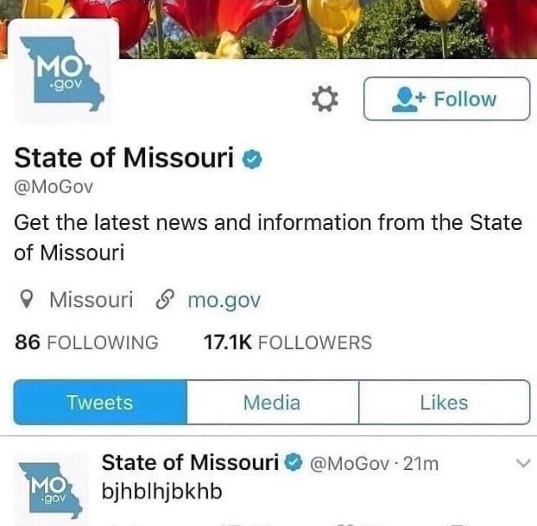 Missouri - meme