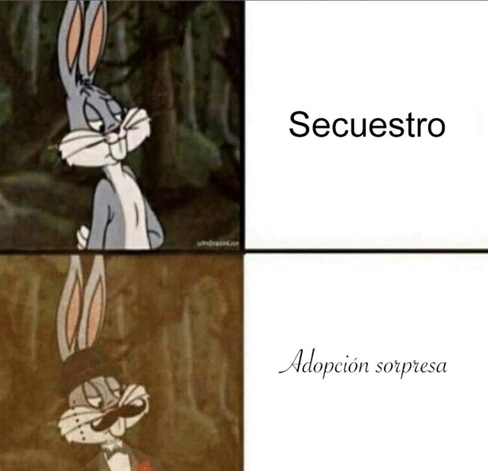 Secuestro sorpresa: también conocido como adopción - meme
