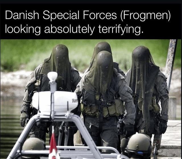 Danish Frogmen pulling up like video game bosses - meme