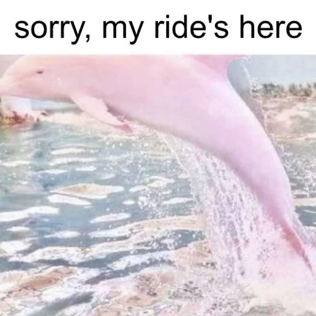 The best Bye memes :) Memedroid, image size:1080x1080