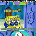 More like Pokémon "Sometimes" Go. I'm sorry for the bad joke.