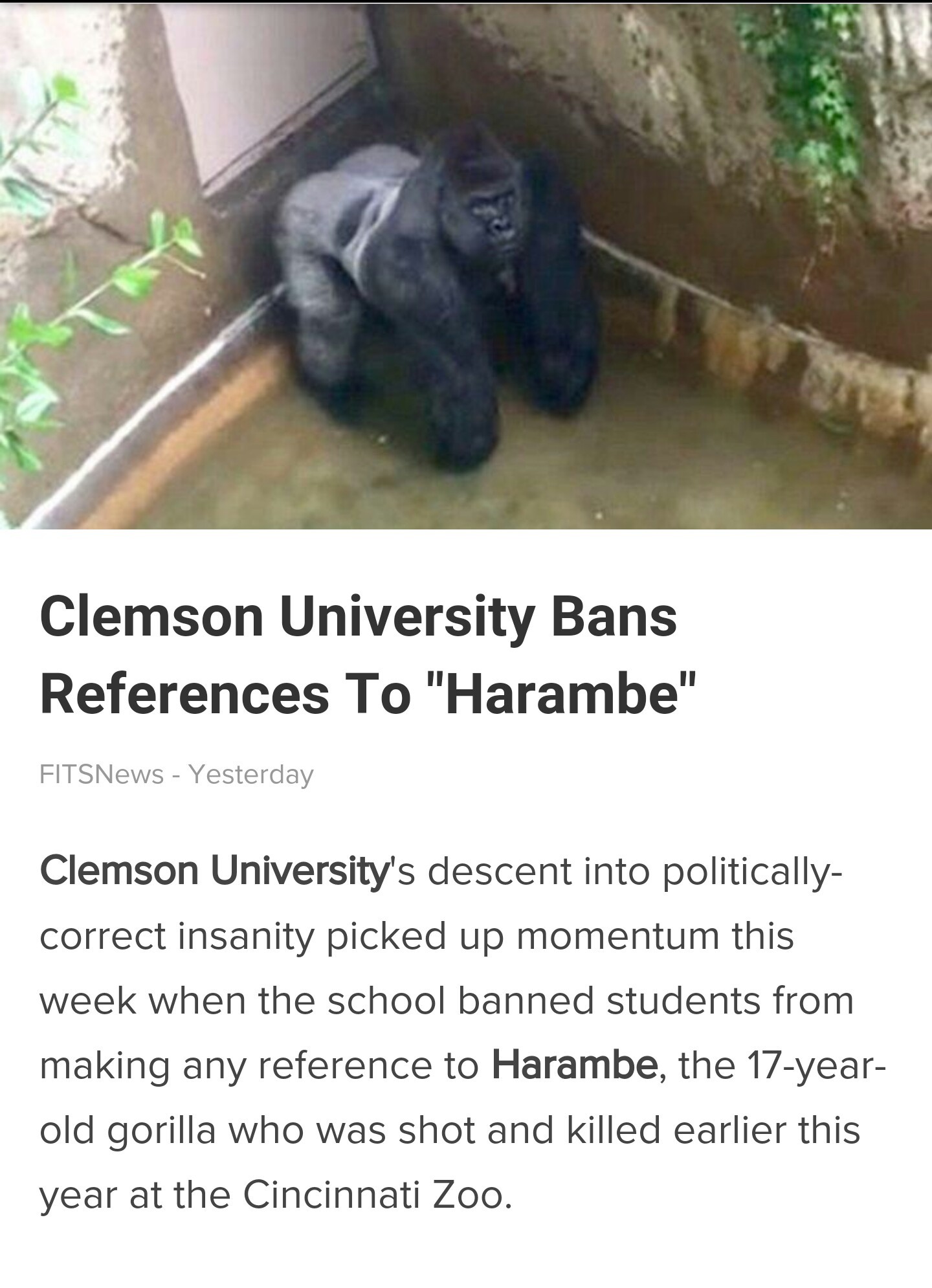 No dicks out in Clemson - meme