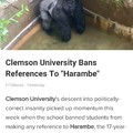 No dicks out in Clemson