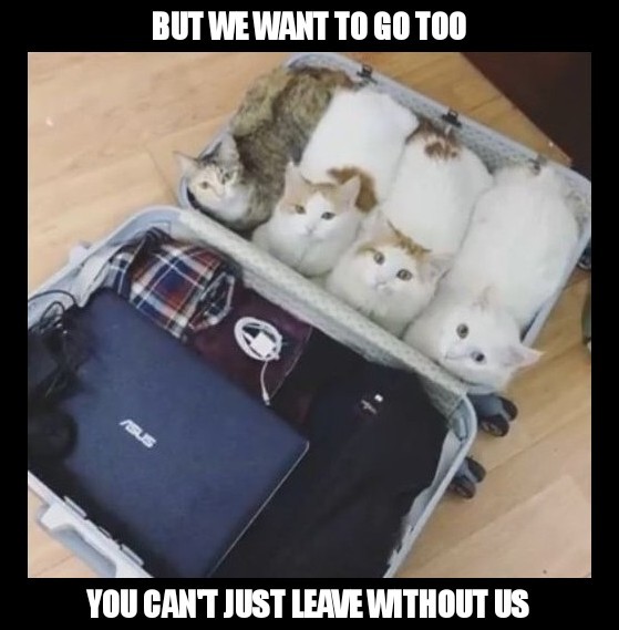 Here's to hoping airport security doesn't check your carryon. - meme
