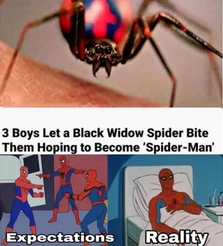 They are spiderdead now - meme