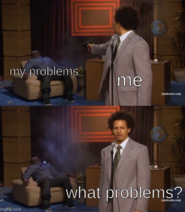 what problems? - meme