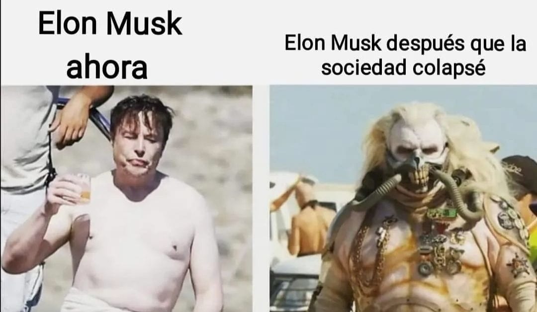 Elon Musk cuando colapse la sociedad - meme