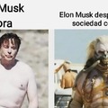 Elon Musk cuando colapse la sociedad
