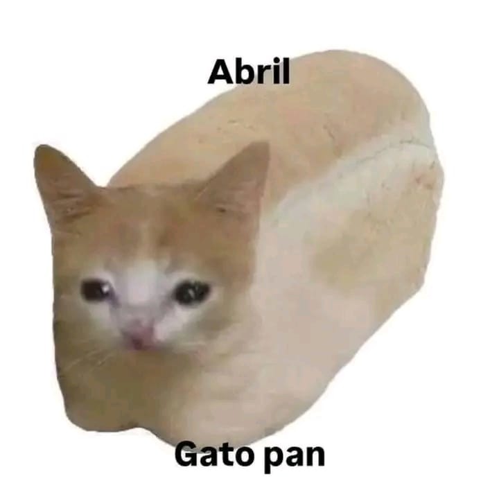 El título está empacando sus cosas para irse al Caribe - meme