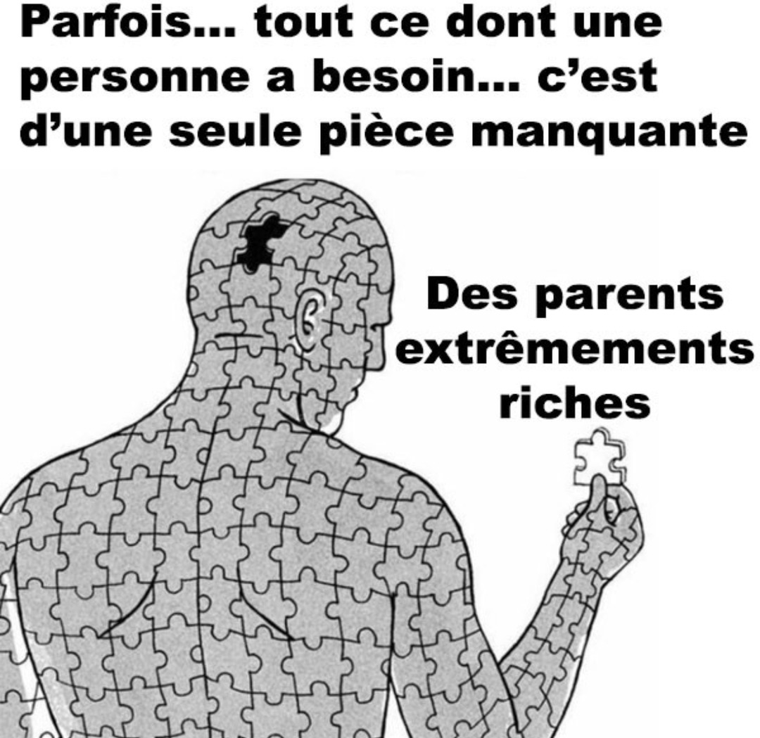 Parfois la seule pièce qu’il te manque… c’est des parents riches - meme