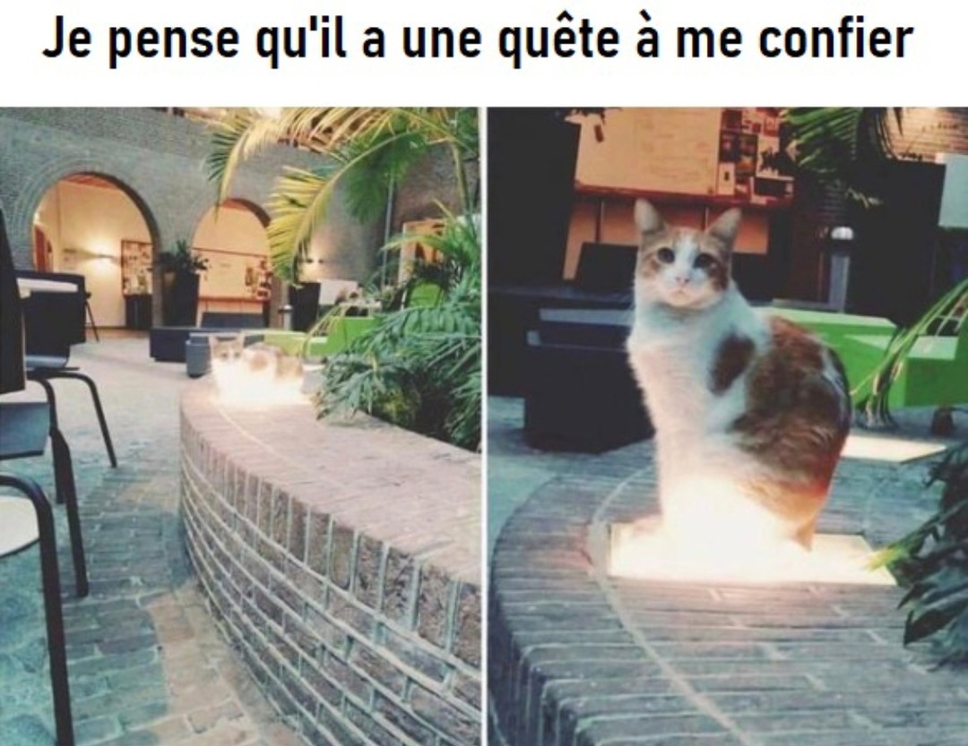 T'as une quête pour moi - meme