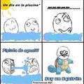 Soy squirtle