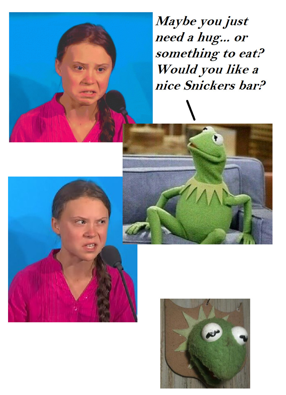 Helpful little frog - meme