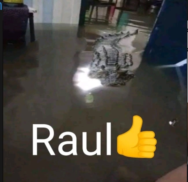 Raúl  - meme