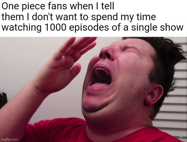 One Piece fans meme