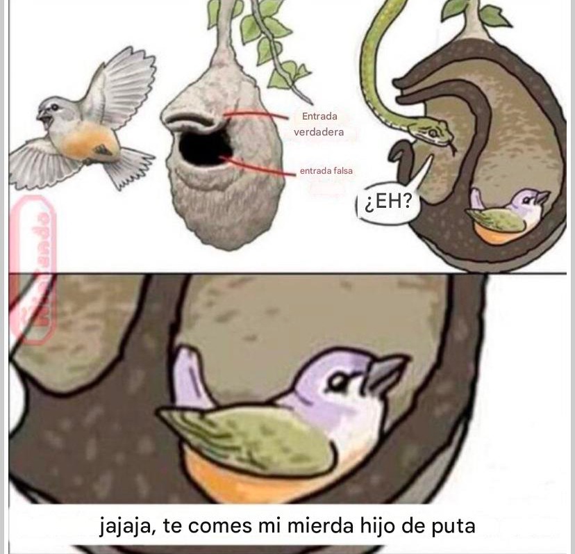 Ha sido troleado :trollface: - meme