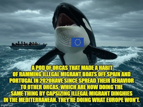 Orcas out here enforcing border patrol - meme