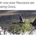they see him riding.... Crocs hatin