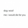 Dog: then die fggt