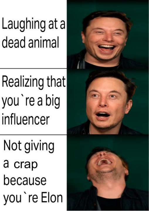 39+ Elon Musk Btc Meme Images