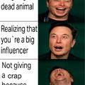 Elon Meme