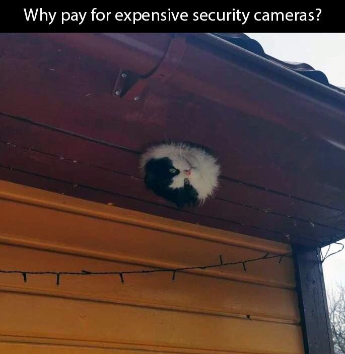 15/10 will secure your home - meme