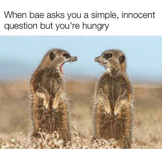 Answering when you are hungry - meme