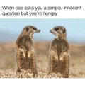 Answering when you are hungry