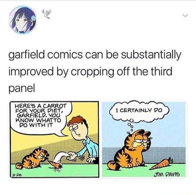 Garfield NO! - meme