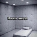 room reveal
