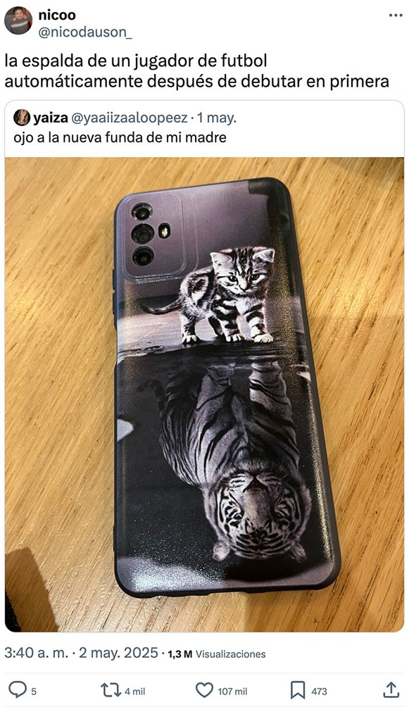 La espalda de un jugador tras su debut y la funda de mamá al 100% - meme